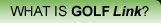 What is Golflink